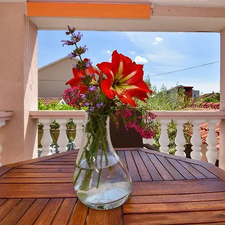 Apartment Marinovic